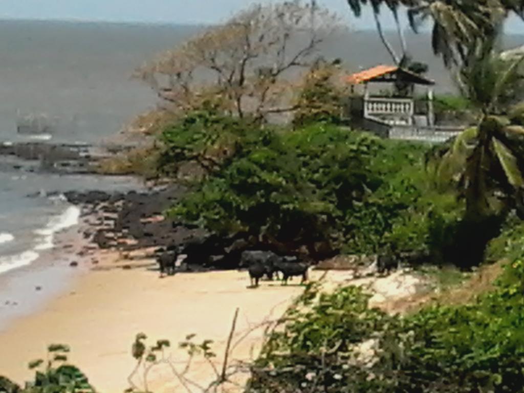 Vila Joanes